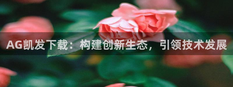 摩臣5平台下载：AG凯发下载：构建创新生态，引领技术发展
