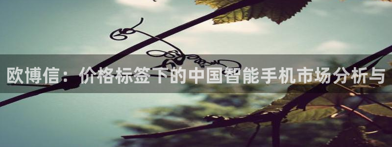 摩臣5平台平台官网版最新：欧博信：价格标签下的中国智能手机市场分析与