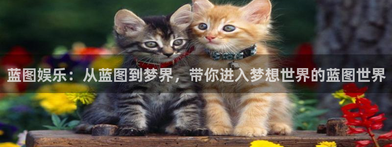 摩臣5平台3平台注册：蓝图娱乐：从蓝图到梦界，带你进入梦想世界的蓝图世界