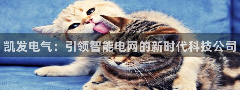 摩臣5平台现在优惠多少：凯发电气：引领智能电网的新时代科技公司