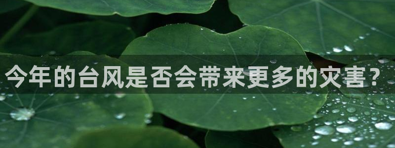 摩臣5平台2官网：今年的台风是否会带来更多的灾害？