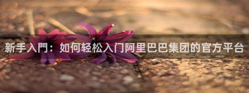 摩臣5平台体育注册：新手入門：如何轻松入门阿里巴巴集团的官方平台