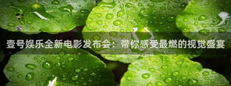 摩臣5平台的平台：壹号娱乐全新电影发布会：带你感受最燃的视觉盛宴