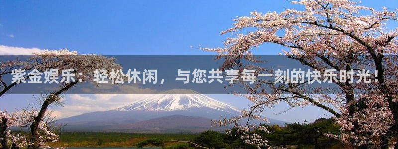 摩臣5平台下载入口：紫金娱乐：轻松休闲，与您共享每一刻的快乐时光！