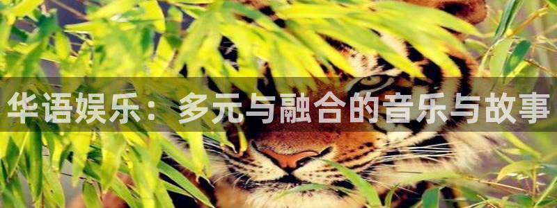 摩臣5平台集团官网：华语娱乐：多元与融合的音乐与故事