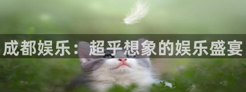 摩臣5平台f凯捷注册：成都娱乐：超乎想象的娱乐盛宴