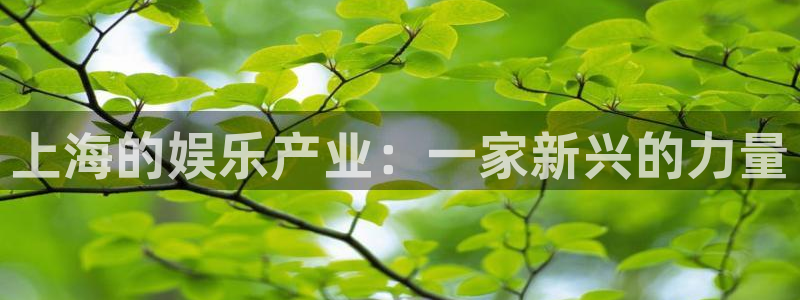 摩臣5平台网站平台：上海的娱乐产业：一家新兴的力量