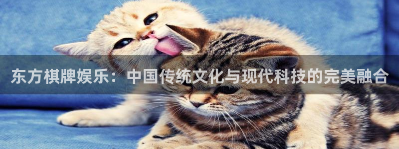 摩臣5平台分红代理计划：东方棋牌娱乐：中国传统文化与现代科技的完美融合
