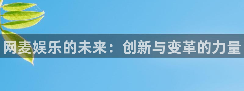 摩臣5平台包怎么样：网麦娱乐的未来：创新与变革的力量