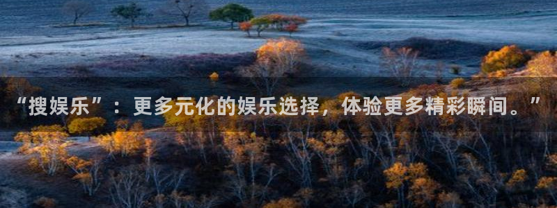 摩臣5平台2登录入口：“搜娱乐”：更多元化的娱乐选择，体验更多精彩瞬间。”