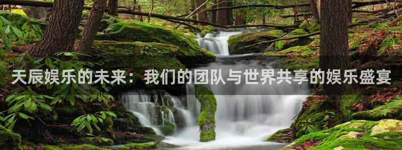 摩臣5平台赏金女王：天辰娱乐的未来：我们的团队与世界共享的娱乐盛宴