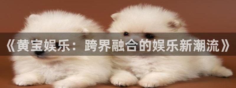 摩臣5平台平台登录入口：《黄宝娱乐：跨界融合的娱乐新潮流》
