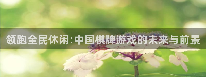 摩臣5平台官网下载：领跑全民休闲:中国棋牌游戏的未来与前景