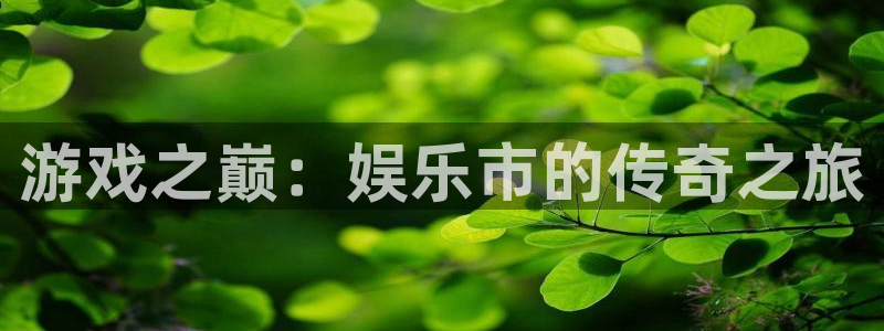 摩臣5平台f平台注册：游戏之巅：娱乐市的传奇之旅