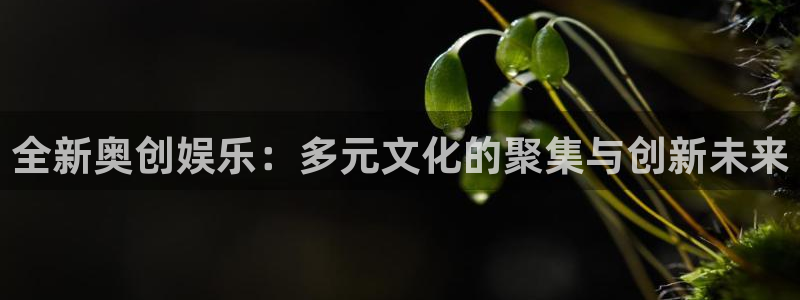 摩臣5平台加拿大下载：全新奥创娱乐：多元文化的聚集与创新未来